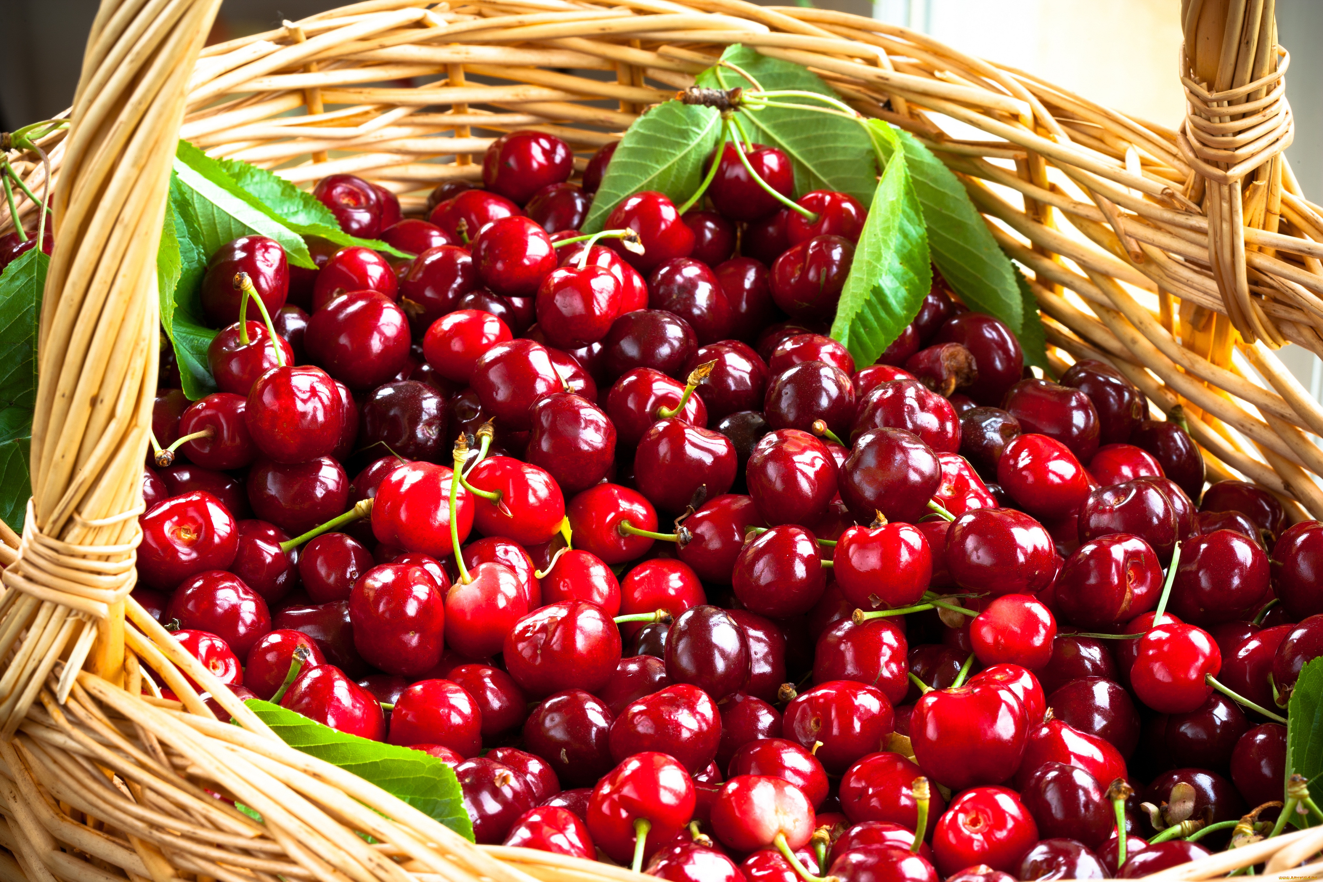 , ,  , , , , basket, fruit, cherries